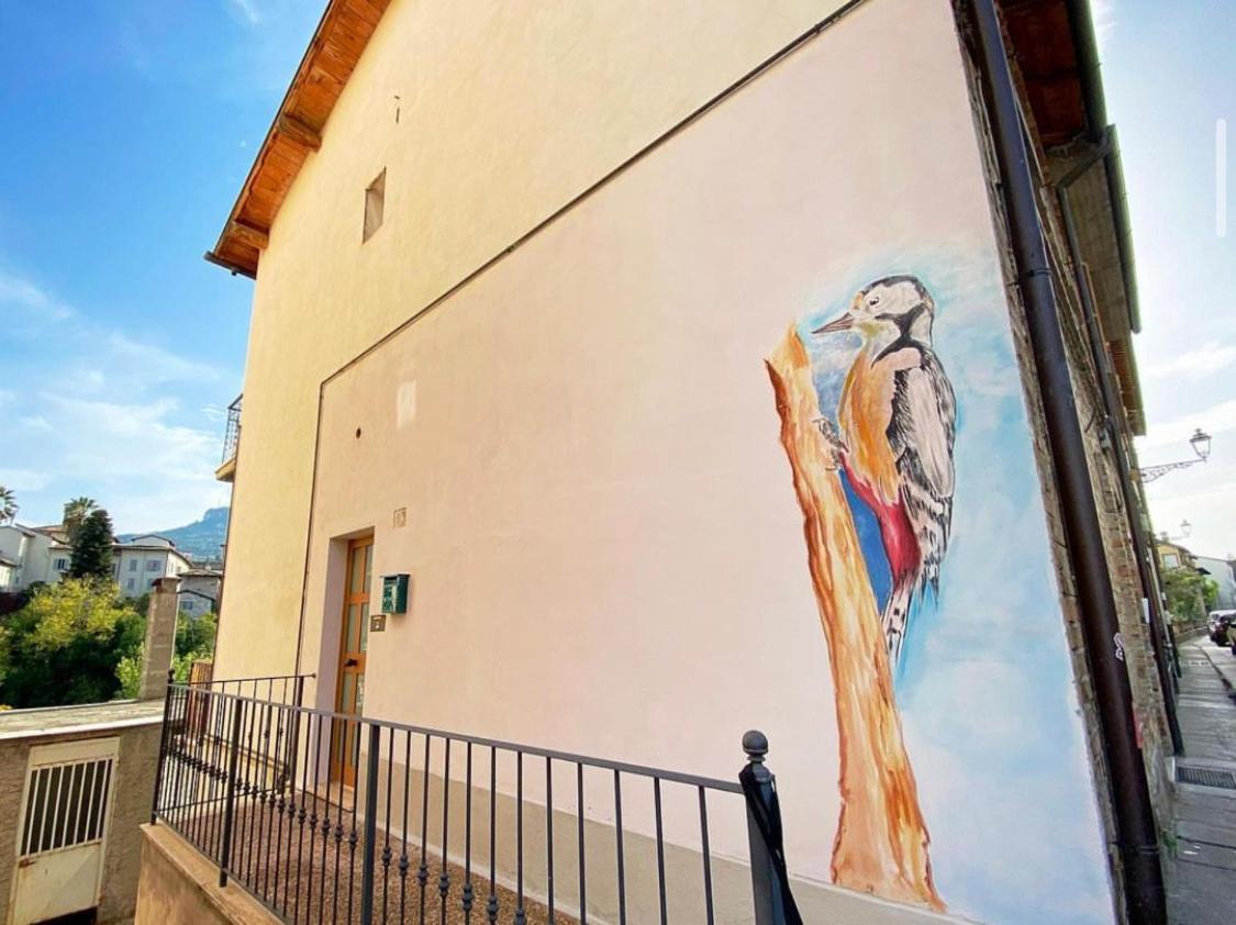Mini Appartamento "Il Nido Del Picchio" Ascoli Piceno Dış mekan fotoğraf